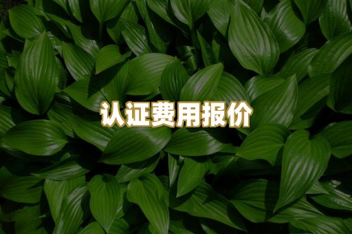 认证费用报价